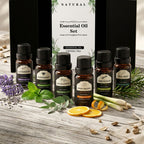 100% Pure Essential Oil 6-Piece Set